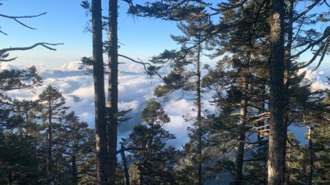 Climb Yushan