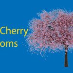 Taiwan Cherry Blossoms 🌸 The Best Places to Catch the Flowers in Taiwan Thumbnail