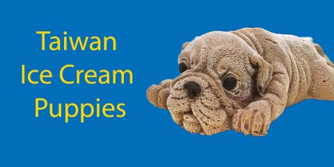 Taiwan Ice Cream Puppies || The Social Media Sensation Thumbnail
