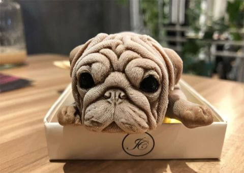 Ice Cream Puppy - Taiwan's New Sensation
