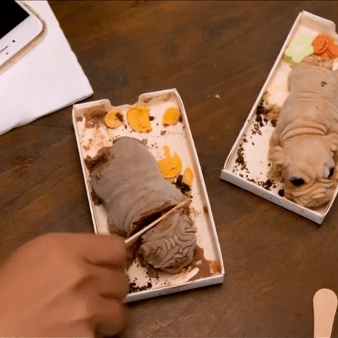 Taiwan's Latest Craze - Ice Cream Puppies