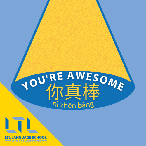 You're awesome in Chinese