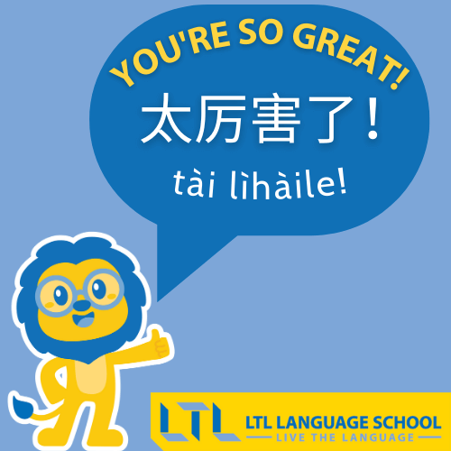 You're so great! in Chinese