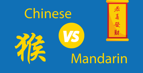 Chinese vs Mandarin 🤔 What's the Truth? Thumbnail